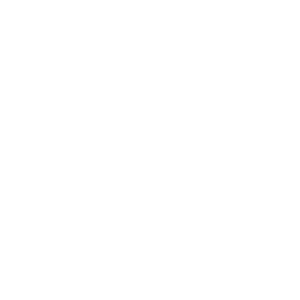 Core Insight Png Home - CORE INSIGHT, INC.